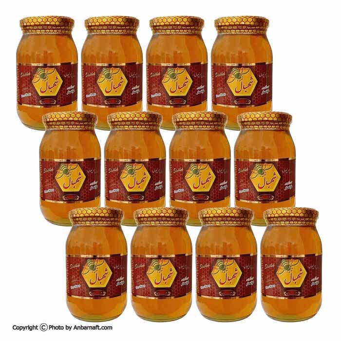  عسل طبیعی چهل گیاه شهبال 650 گرم - شیشه ای 