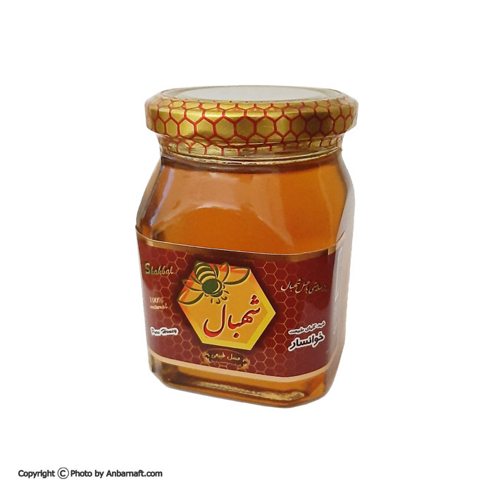  عسل طبیعی چهل گیاه شهبال 380 گرم - شیشه ای 