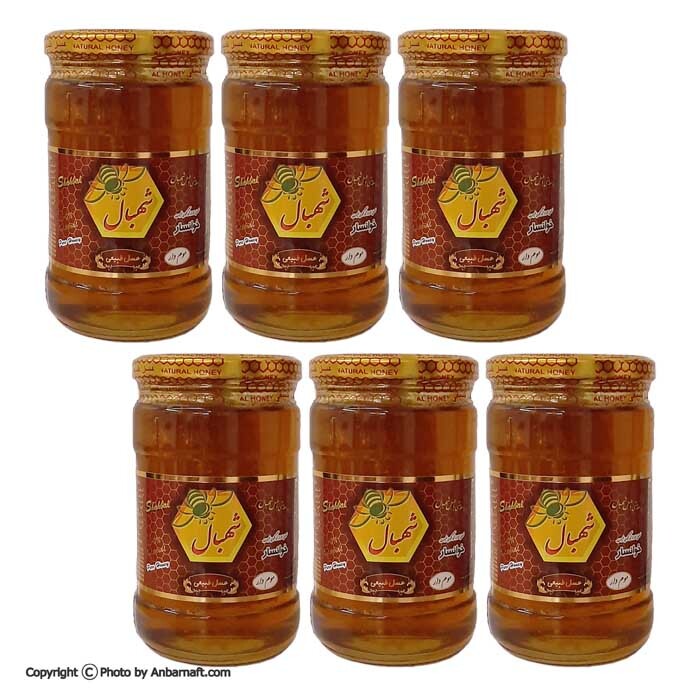  عسل طبیعی موم دار شهبال 850 گرم - شیشه ای 